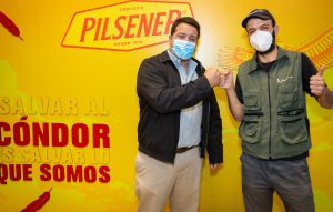  Pilsener busca la protección del cóndor andino a través de acciones que ayuden a recaudar fondos para la conservación de esta ave emblemática.