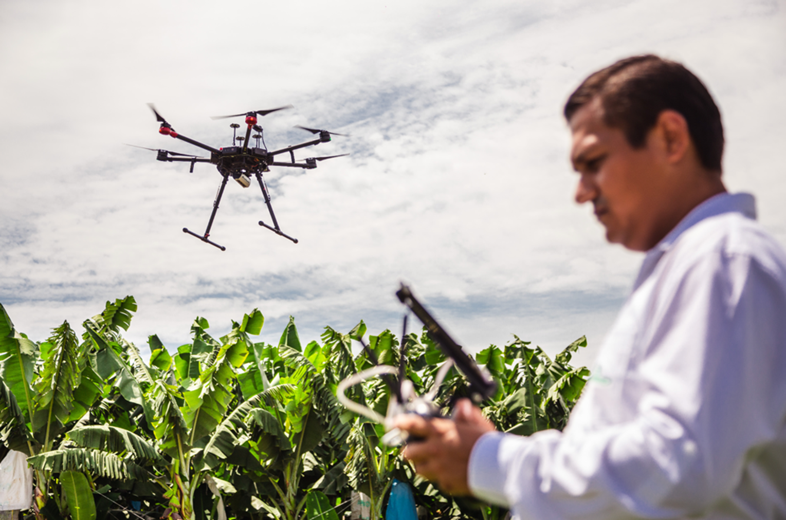 Lee más sobre el artículo La agricultura digital y la nutrición eficiente y especializada para cada cultivo  llegan a Ecuador de la mano de PRECISAGRO
