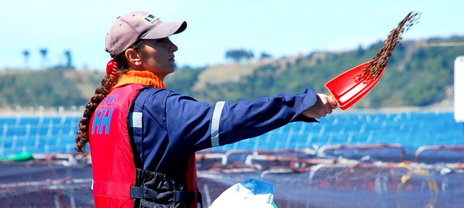 Lee más sobre el artículo Informe anual de sostenibilidad, Cargill Aqua Nutrition reitera su misión de alimentar al mundo de forma segura, responsable y sostenible