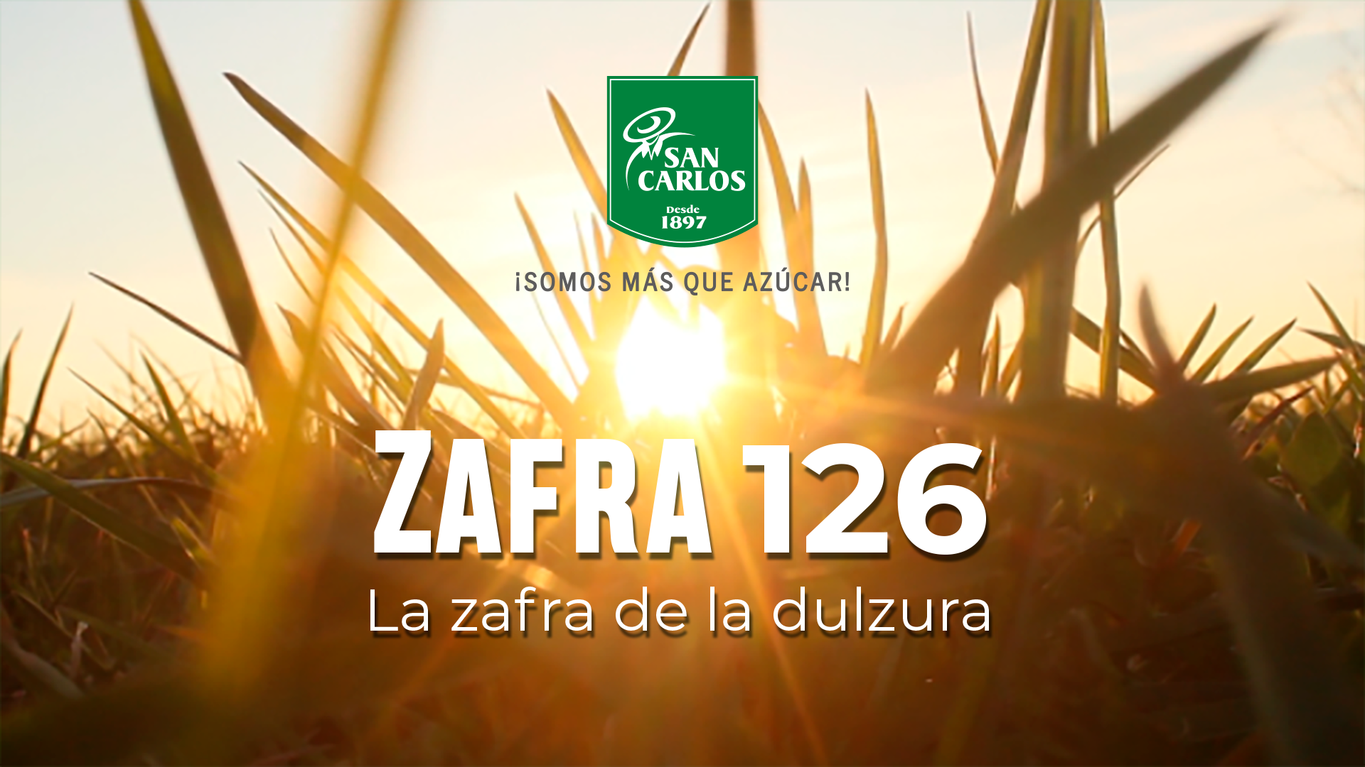 Lee más sobre el artículo SAN CARLOS ANUNCIA EL INICIO DE SU TRADICIONAL ZAFRA