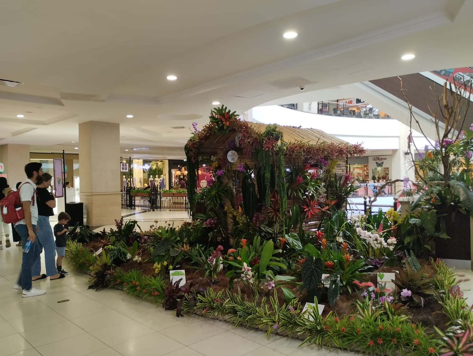 Lee más sobre el artículo VILLAGE PRESENTA EXHIBICIÓN DE PLANTAS TROPICALES Y ORQUÍDEAS HASTA EL 9 DE OCTUBRE