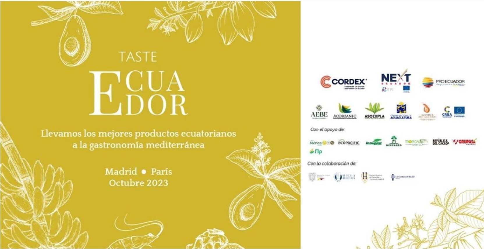 Lee más sobre el artículo CON UN ROADSHOW GASTRONÓMICO SE BUSCA PROMOVER LA OFERTA EXPORTADORA DE ECUADOR EN LA GASTRONOMÍA EUROPEA