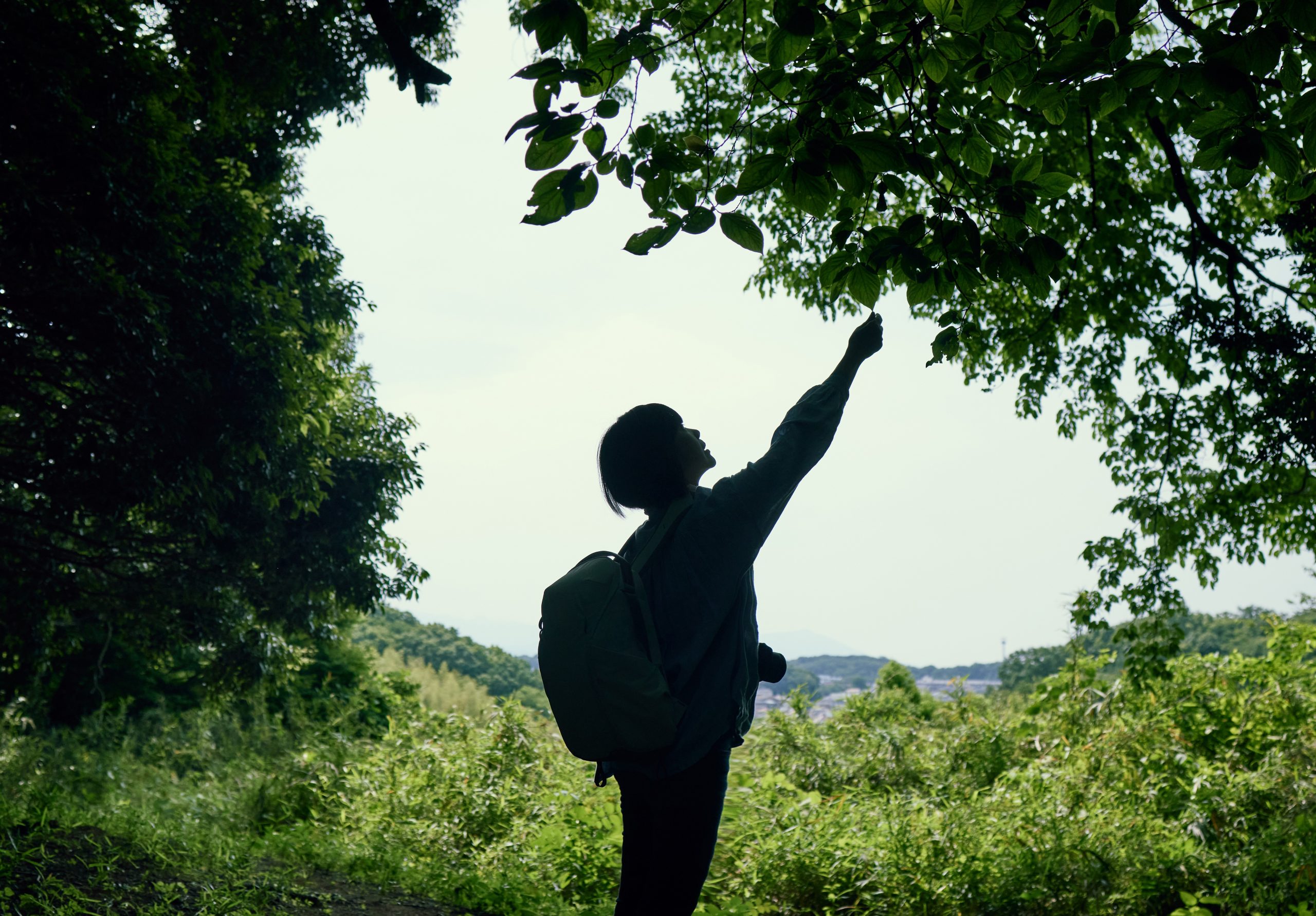 Lee más sobre el artículo Schneider Electric trabaja en su ambicioso programa de transformación de sostenibilidad con determinación inquebrantable