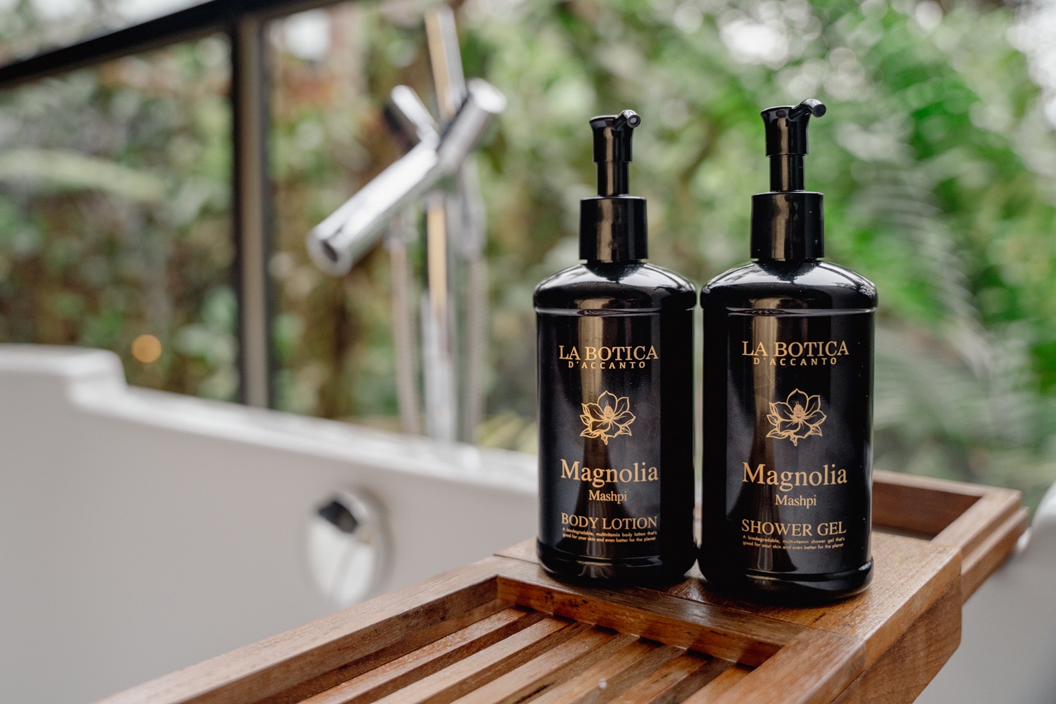Lee más sobre el artículo MASHPI LODGE PIONERO EN LA ELABORACIÓN DE LA FRAGANCIA MAGNOLIA, UNA ALIANZA PARA PROTEGER ESTÁ ESPECIE ÚNICA DEL PAÍS