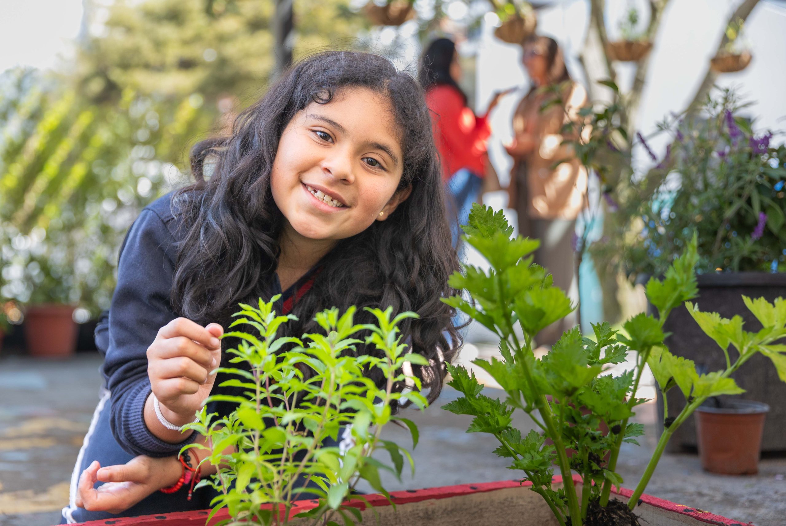 Lee más sobre el artículo Huellas de Cambio de Bupa impulsa la conciencia ambiental en las nuevas generaciones y celebra su cosecha en Ecuador