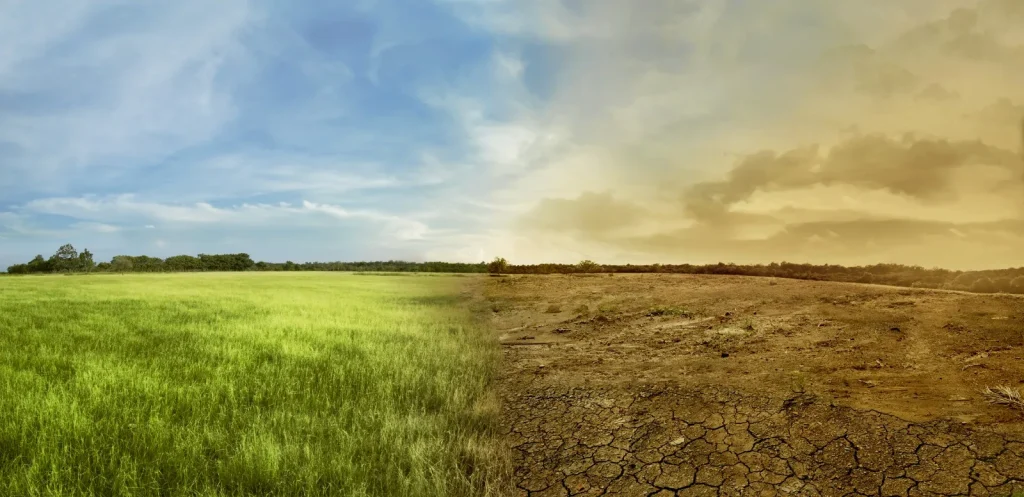 La agricultura ecuatoriana frente al clima extremo: innovación, agua y sostenibilidad marcan el camino