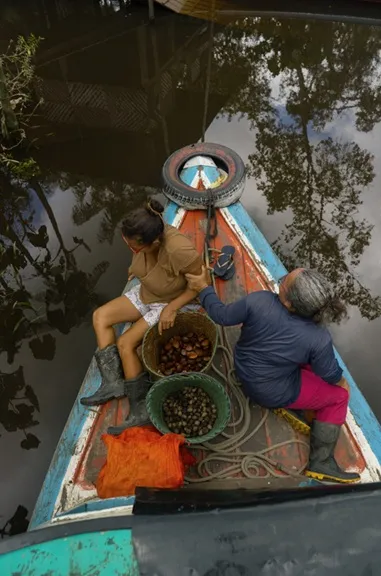 Natura lanza una startup de bioingredientes para conectar sus cadenas sostenibles en la Amazonía con el mercado global