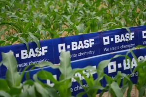 BASF Soluciones para la Agricultura anuncia nueva estructura organizacional con foco en el cliente y en los sistemas de cultivo