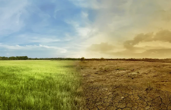 Agricultura