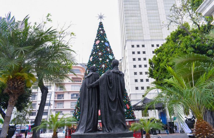 Árbol de la Ciudad - 2023