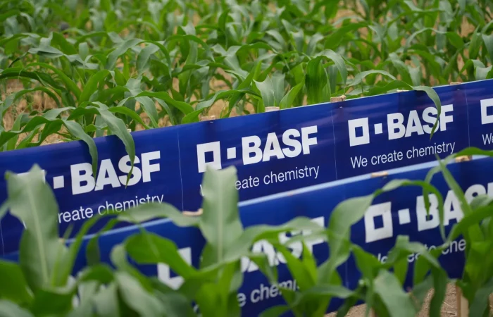 Basf 2