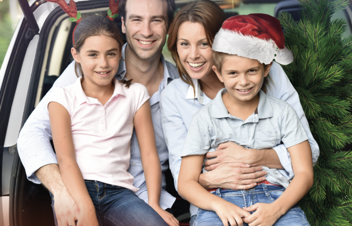 Campaña Navidad Village