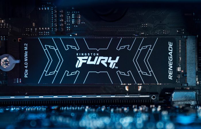 Kingston FURY Renegade SSD Premium