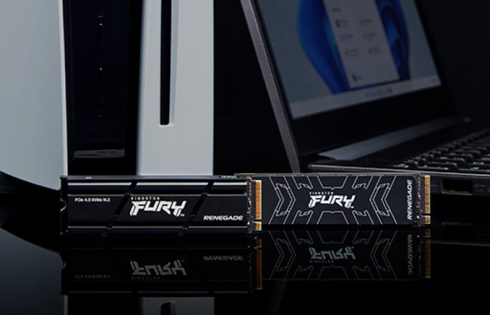 Kingston FURY Renegade SSD