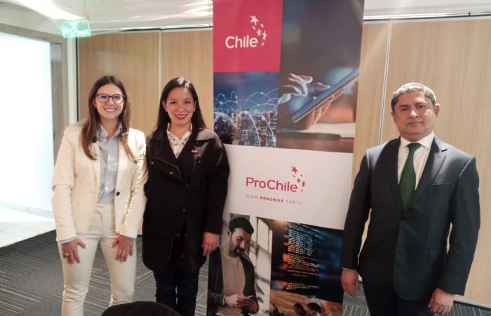ProChile - Foto 1