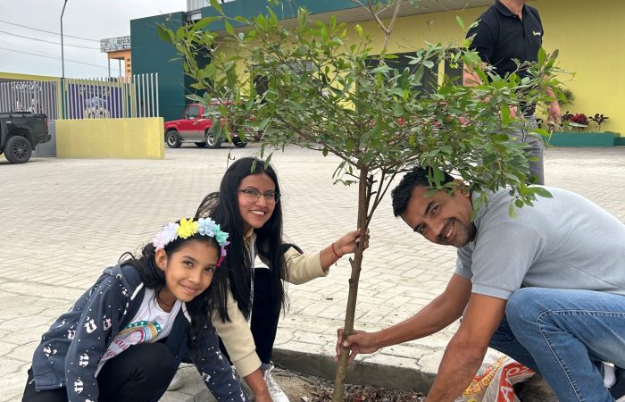 Reforestación Agripac Santa Elena1