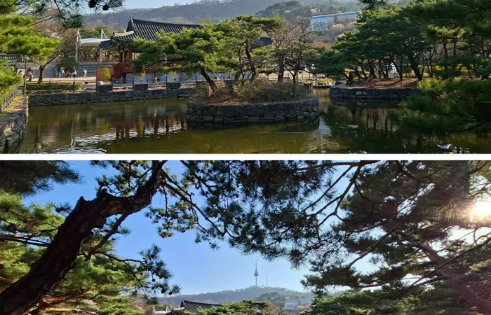 Standard and ultra-wide photos taken with Galaxy A57 5G.jpg