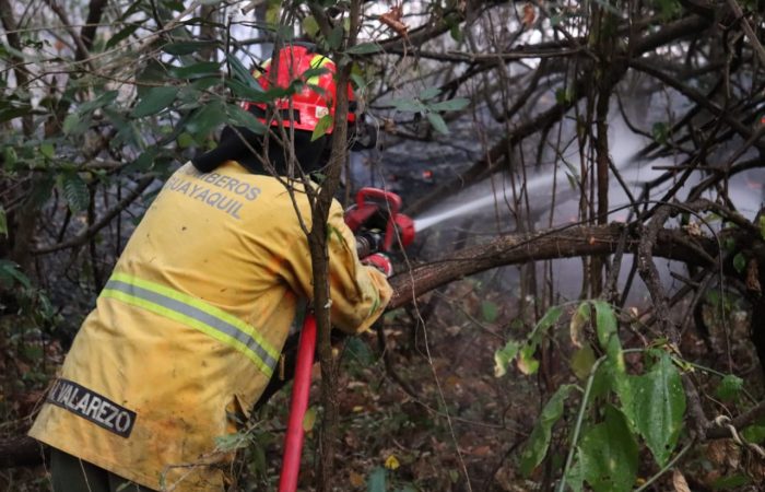 WhatsApp Image 2021-08-31 at 20.45.29 (1)