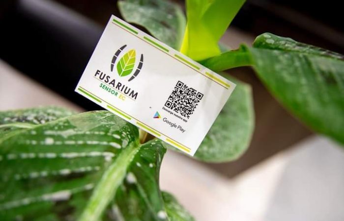 WhatsApp Image 2021-09-21 at 10.49.46