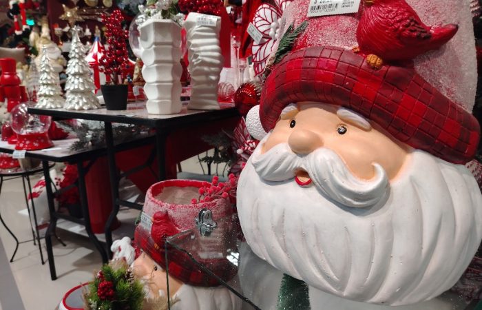 WhatsApp Image 2025-08-13 at 10.04.42 AM (1)